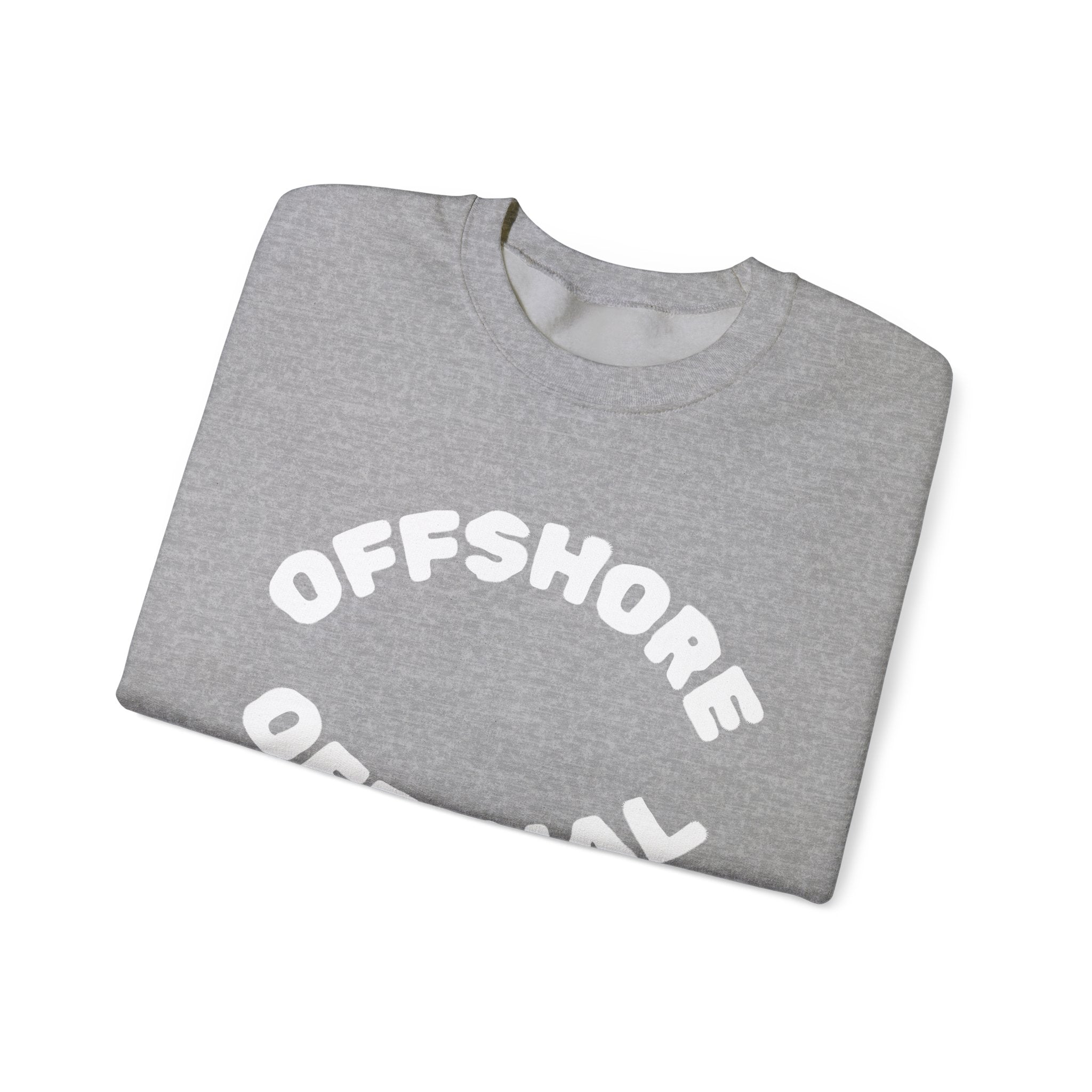 Smart and Funny Cozy Sweatshirt | Cute Comfy Unisex Crewneck | Soft Everyday Pullover for Holidays and Lazy Days