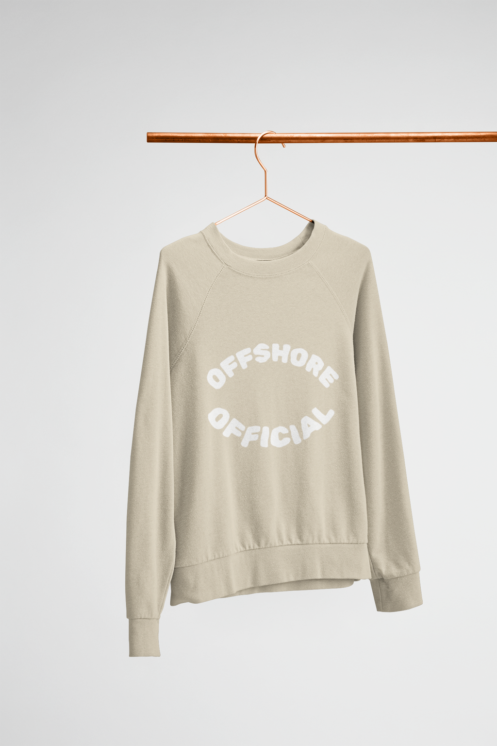 Smart and Funny Cozy Sweatshirt | Cute Comfy Unisex Crewneck | Soft Everyday Pullover for Holidays and Lazy Days